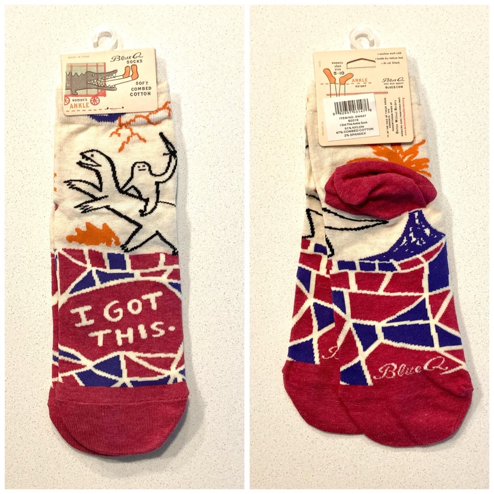 NWT funny socks - women’s ankle socks with “I Got This” design